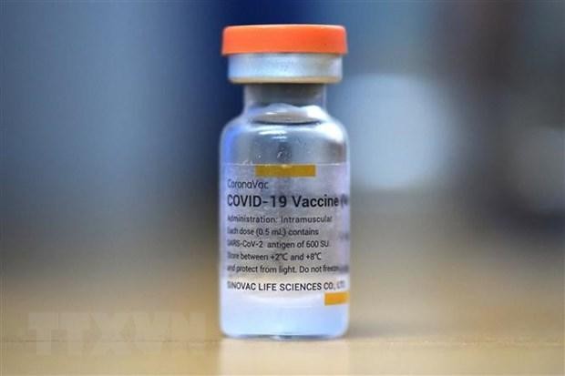Vaccine ngừa COVID-19 của Sinovac. (Nguồn: AFP/TTXVN).