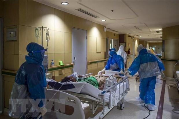 Nhân viên y tế chuyển bệnh nhân COVID-19 tại bệnh viện ở Surabaya, Đông Java, Indonesia. (Ảnh: AFP/TTXVN).