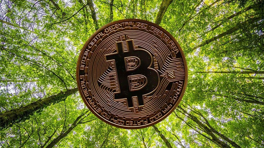 Giá Bitcoin hôm nay ngày 26/7: Bitcoin "nhảy cóc" hơn 4.000 USD trong vòng 12h sau tin đồn Amazon có thể chấp nhận thanh toán bằng Bitcoin