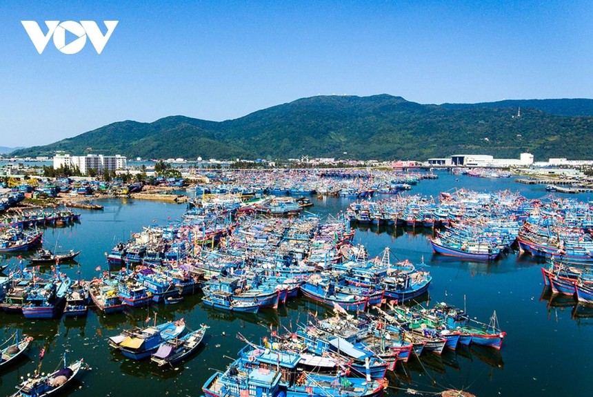 Chùm ca bệnh liên quan đến cảng cá Thọ Quang đã lây lan 50 trường hợp.