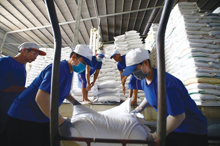 Dịch bệnh Covid-19 bùng phát làm đứt gãy chuỗi cung ứng xuất khẩu lúa gạo.