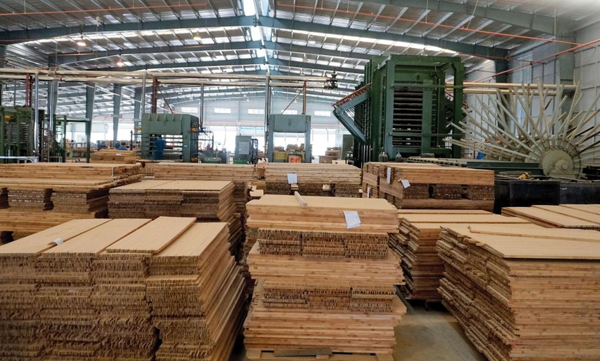 SJF đã đầu tư 542 tỷ đồng vào các công ty con, trong đó có các doanh nghiệp chuyên về tre gỗ.