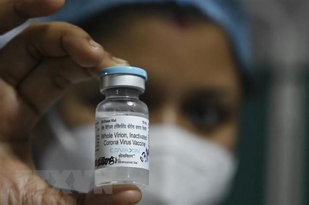 Vaccine Covaxin phòng COVID-19 tại bệnh viện ở Kolkata, Ấn Độ, ngày 3/2. (Ảnh: AFP/ TTXVN).