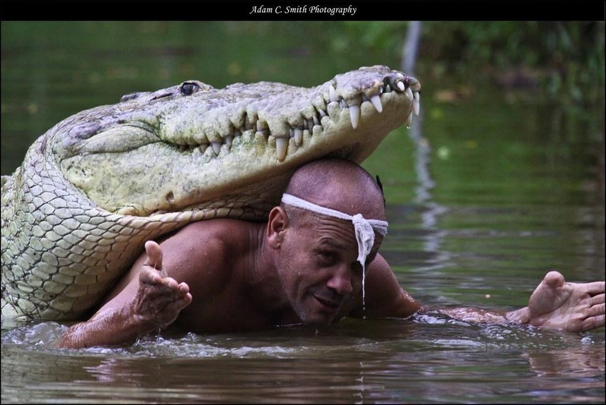 Chuyện lạ người đàn ông kết bạn và bơi cùng cá sấu khổng lồ trong suốt 23 năm