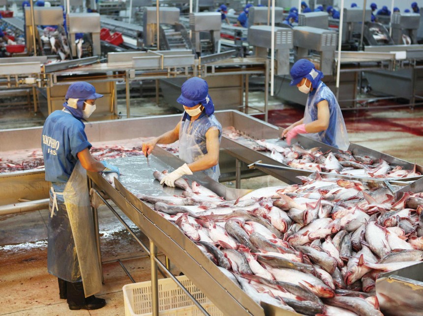 Thị trường xuất khẩu đang rất thuận lợi với các doanh nghiệp chế biến thủy sản.
