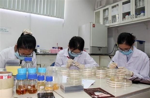 Hoạt động tại Phòng Công nghệ sinh học Trung tâm Nghiên cứu triển khai Khu Công nghệ cao Thành phố Hồ Chí Minh. (Ảnh: Tiến Lực/TTXVN).