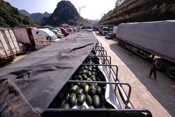 Lạng Sơn tạm dừng tiếp nhận xe chở hoa quả tươi xuất khẩu từ 16 đến 25/2 do cửa khẩu ùn ứ.
