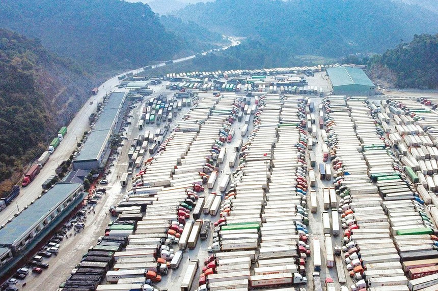 Hàng ngàn xe container hàng hóa nông thủy sản “nằm dài” chờ xuất khẩu sang Trung Quốc Ảnh: Đ.T.