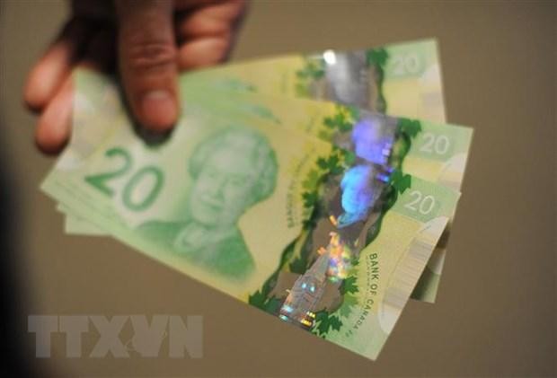 Đồng đôla Canada. (Ảnh: AFP/TTXVN).