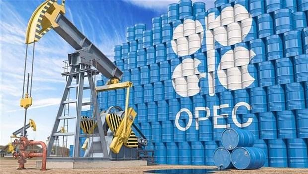 Hình ảnh 3D minh hoạ biểu tượng Tổ chức Các nước xuất khẩu dầu mỏ (OPEC). (Ảnh: Shutterstock.com/TTXVN)
