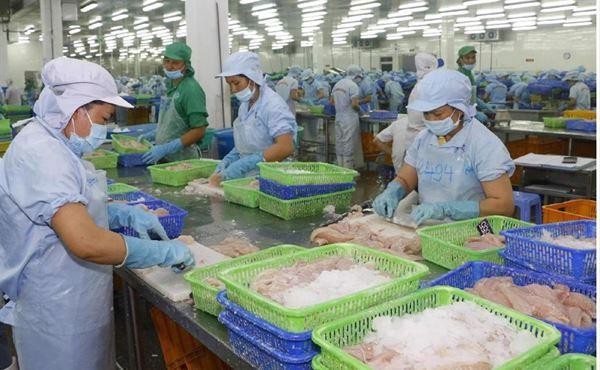 Kim ngạch xuất nhập khẩu tính đến 15/8 đang tiến gần mốc 500 tỷ USD, cán cân thương mại xuất siêu 1,39 tỷ USD.