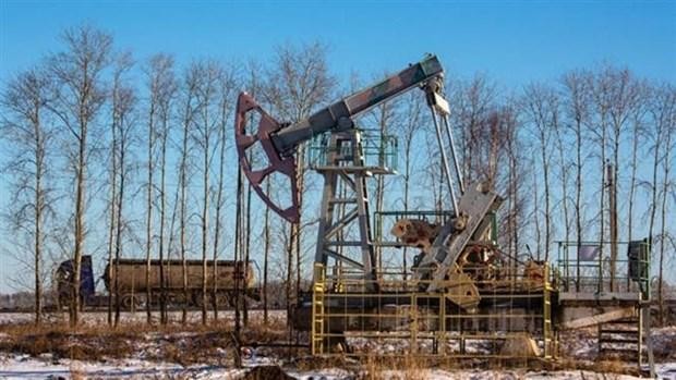 Một giếng dầu ở Dyurtyuli, Cộng hòa Bashkortostan (Liên bang Nga). (Ảnh: Getty Images/TTXVN).