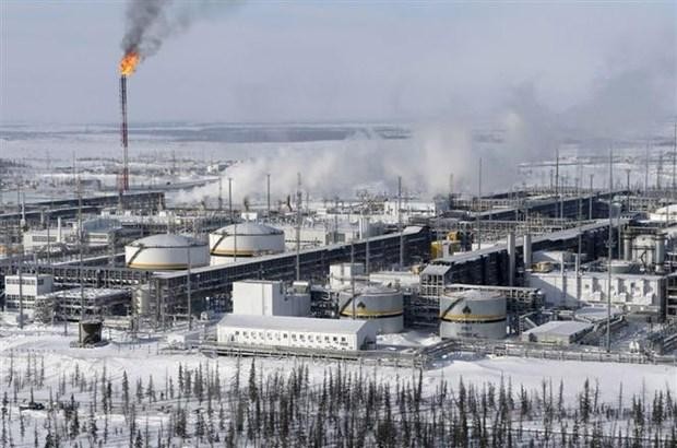 Toàn cảnh cơ sở lọc dầu ở giếng dầu Vankorskoye thuộc vùng Krasnoyarsk, Nga. (Ảnh: Reuters/TTXVN).