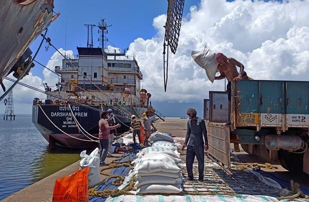 Công nhân bốc dỡ gạo tại cảng Kakinada Anchorage của Ấn Độ. (Nguồn: Reuters).