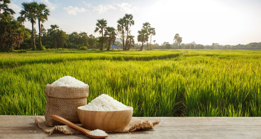 Việt Nam đang tập trung sản xuất gạo chất lượng cao để phù hợp với xu hướng tiêu dùng toàn cầu