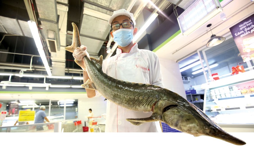 Trong lĩnh vực bán lẻ, tiêu dùng cũng có những con “cá lớn” đang được ngắm nghía.