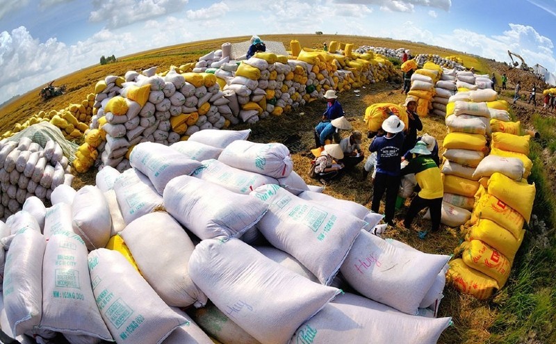 Cơ hội vàng cho ngành xuất khẩu gạo Việt Nam