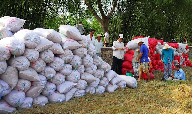 Bộ Công thương đề nghị các doanh nghiệp tránh mua gom ồ ạt gây bất ổn thị trường, mất cân đối cung cầu cục bộ đẩy giá lúa gạo trong nước tăng bất hợp lý.
