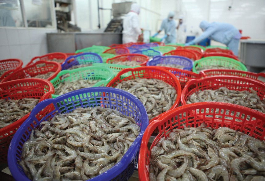 Tôm là sản phẩm được Trung Quốc nhập khẩu nhiều nhất trong nhóm thủy sản của Việt Nam.