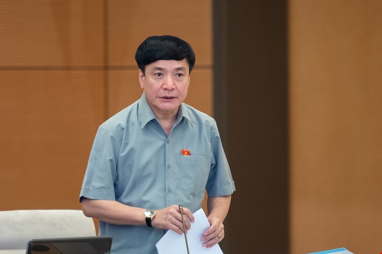 Tổng thư ký Quốc hội Bùi Văn Cường phát biểu tại phiên thảo luận.
