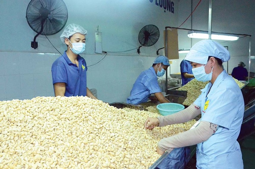 Doanh nghiệp Việt đã nhận được tiền hàng của 4/5 container nông sản trong vụ việc xuất khẩu sang thị trường UAE.