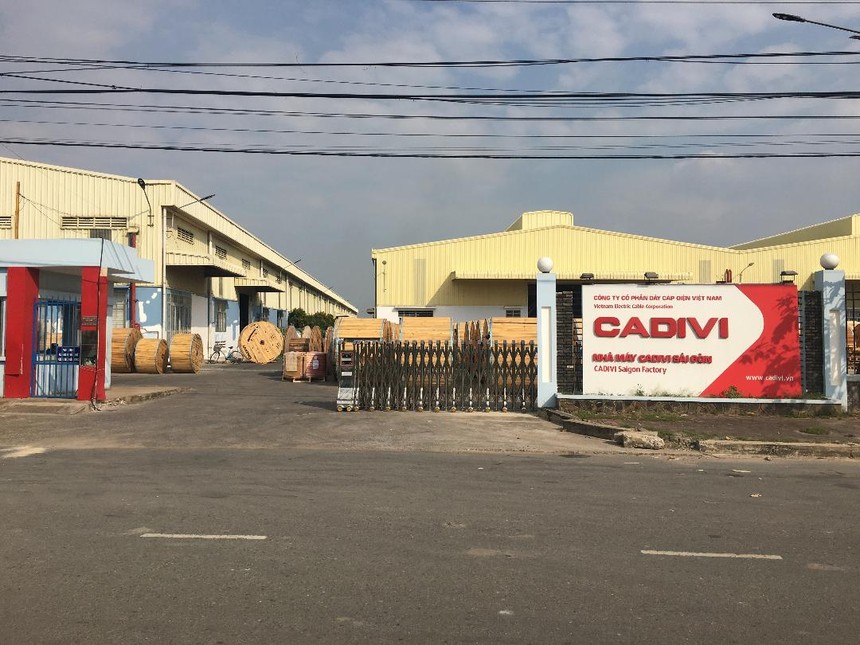 Cadivi (CAV) bị phạt và truy thu thuế hơn 1,13 tỷ đồng