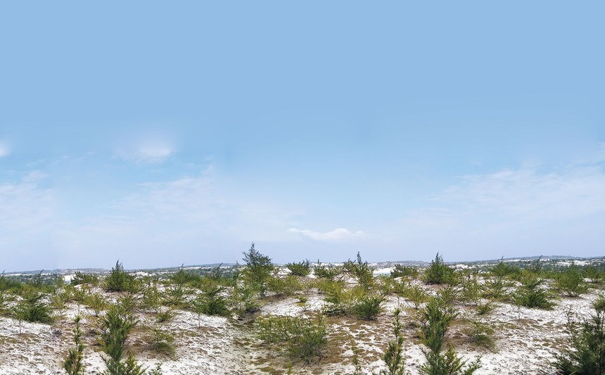 Những đồi cát trắng nối dài tựa như một bức tranh thủy mặc với hai gam màu xanh trắng