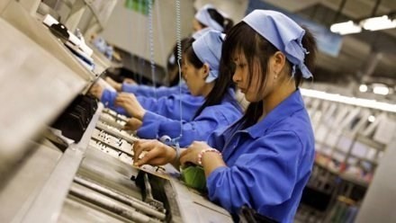 Nhu cầu nước ngoài yếu là nguyên nhân khiến PMI của Việt Nam giảm trở lại trong tháng 11