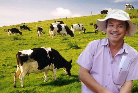 Hoàng Anh Gia Lai muốn chuyển từ trồng cỏ nuôi bò sang trông cây ăn quả