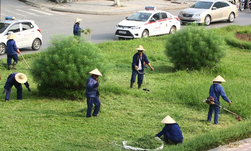 Chi phí cắt cỏ tại Hà Nội được dư luận quan tâm sau thông tin cắt cỏ24 km đại lộ Thăng Long hết 53 tỷ đồng. Ảnh minh họa: Võ Hải.