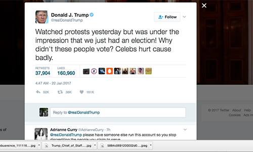Tân tổng thống Mỹ Trump chỉ trích người biểu tình đã không đi bỏ phiếu. Ảnh: Twitter