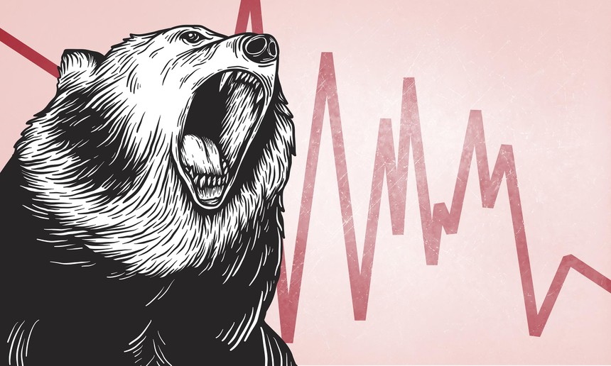 Chờ thị trường gấu đi qua
