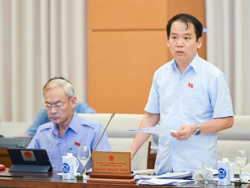 Chủ nhiệm Uỷ ban Pháp luật Hoàng Thanh Tùng trình bày quan điểm của cơ quan thẩm tra.