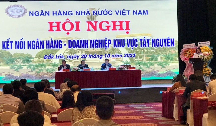 Bà Hà Thu Giang, Vụ trưởng Vụ Tín dụng các ngành kinh tế, NHNN phát biểu tại Hội nghị.