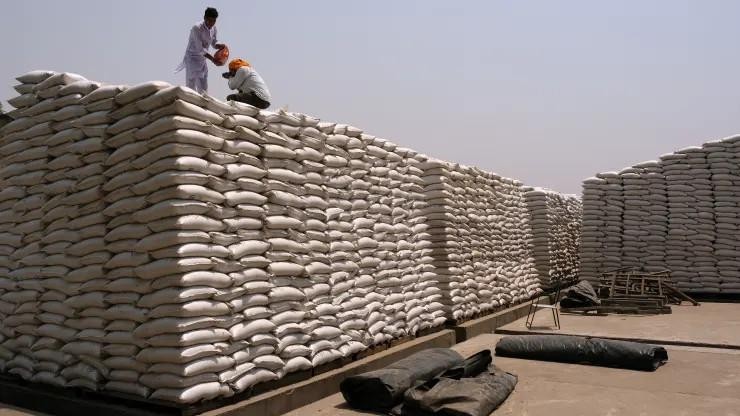 Ấn Độ cấm xuất khẩu lúa mì khi một đợt nắng nóng làm giảm sản lượng