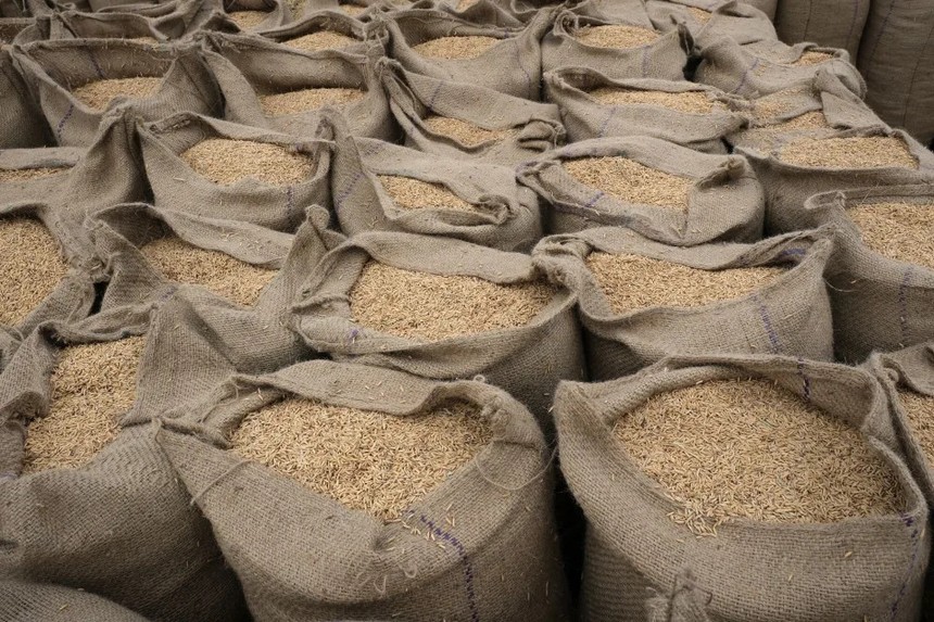 Ấn Độ cấm xuất khẩu gạo trắng non-Basmati