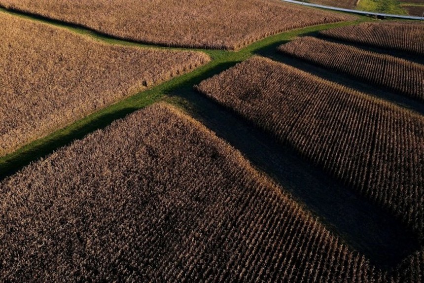 Các nhà đầu tư đổ số tiền kỷ lục vào đất nông nghiệp Mỹ