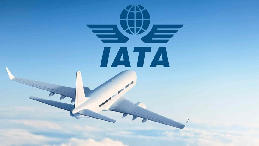 IATA: Ngành hàng không toàn cầu có thể đạt lợi nhuận 9,8 tỷ USD 