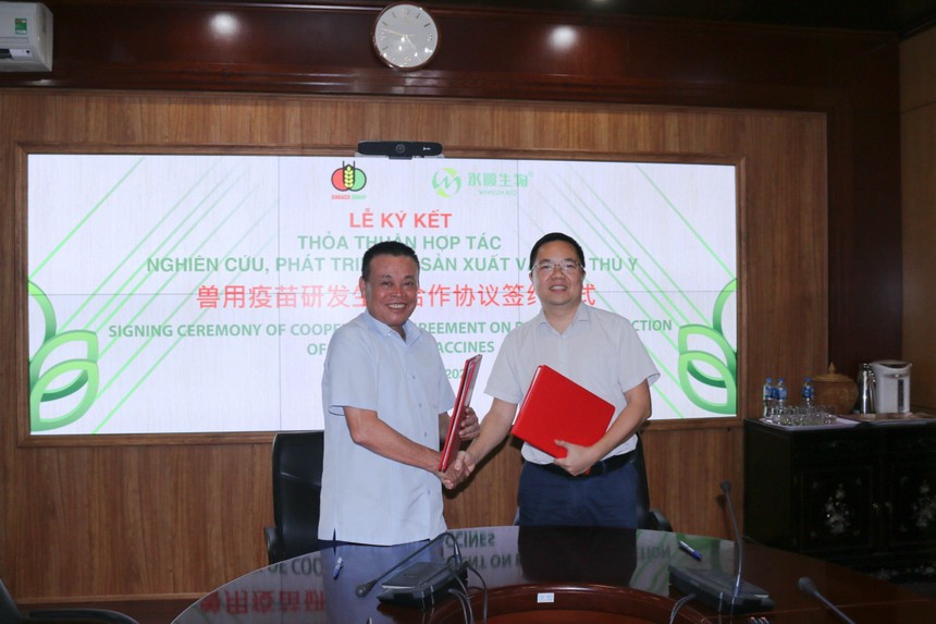 Lãnh đạo DBC và Guangdong Winsun Bio Pharmaceutical trong ký hợp tác sản xuất vắc - xin thú y.