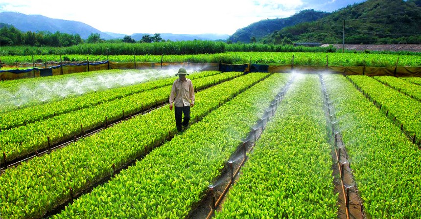 54% doanh nghiệp Việt Nam bị gián đoạn sản xuất kinh doanh nặng do biến đổi khí hậu