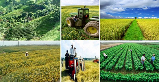 Tìm hiểu về chính sách tín dụng phục vụ phát triển nông nghiệp, nông thôn