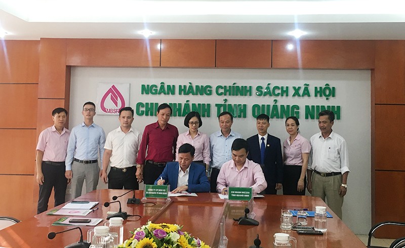 Ngân hàng Chính sách xã hội tỉnh Quảng Ninh ký hợp đồng tín dụng với người sử dụng lao động được vay vốn