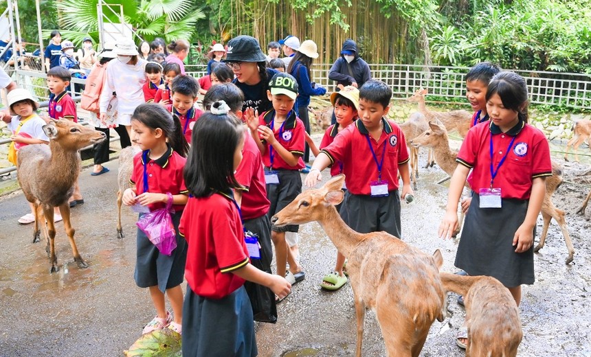 Manulife Việt Nam tổ chức tuần lễ tình nguyện vì cộng đồng