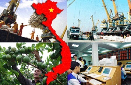 Xem danh mục các mặt hàng xuất khẩu nông sản tỷ USD của Việt Nam