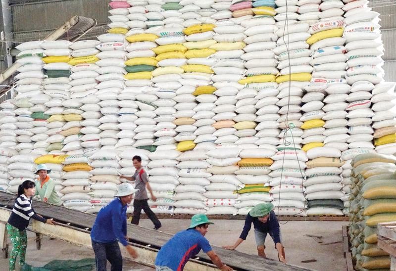 Gạo Việt Nam đang có nhiều cơ hội xuất khẩu sang thị trường EU.