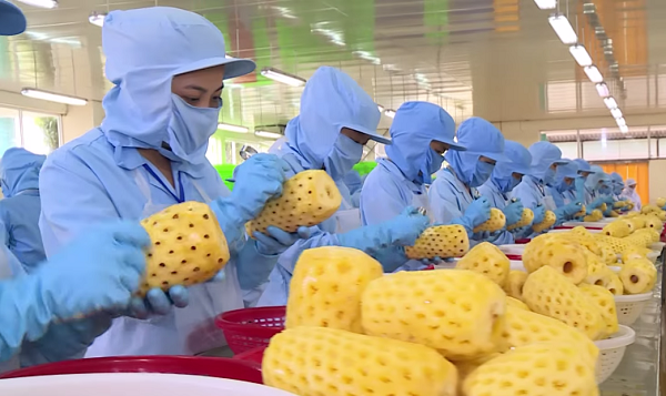 Doanh nghiệp xuất khẩu Việt Nam cần thực hiện nghiêm các quy định của Hàn Quốc về vệ sinh an toàn thực phẩm