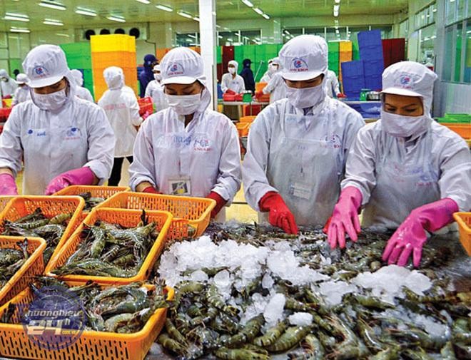 Anh một trong 10 thị trường nhập khẩu thủy sản lớn nhất của Việt Nam, thị phần thủy sản xuất khẩu của ta tại thị trường này năm 2020 đạt hơn 4% (năm 2015 đạt 1,03%).