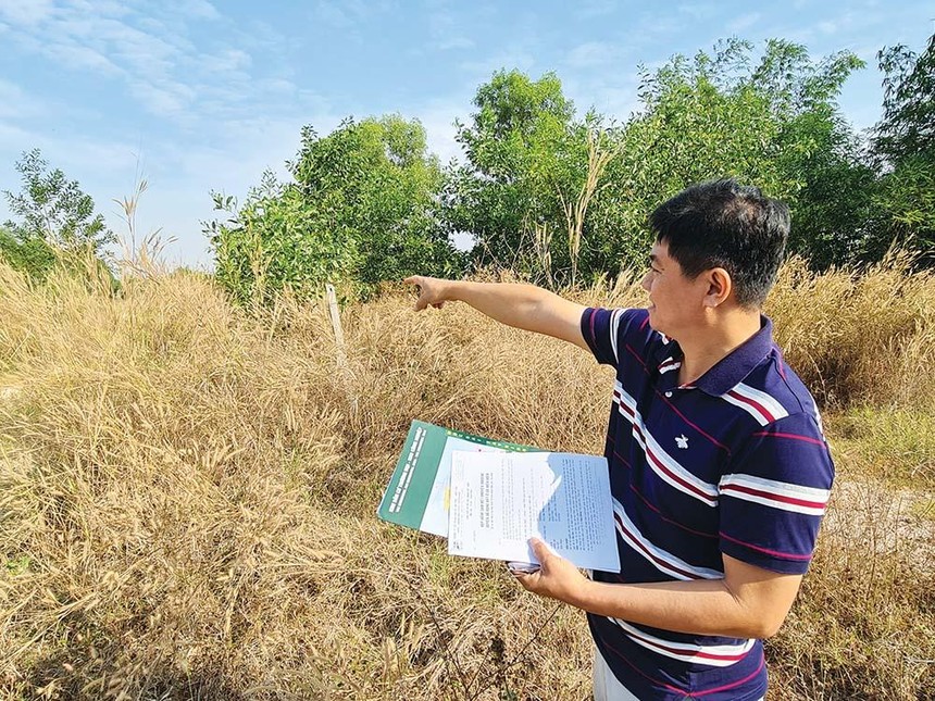Sau 15 năm, nền đất mà ông Tâm mua tại Dự án Khu nhà ở thuộc Khu kinh tế cửa khẩu Mộc Bài vẫn chỉ là bãi đất nuôi cỏ.