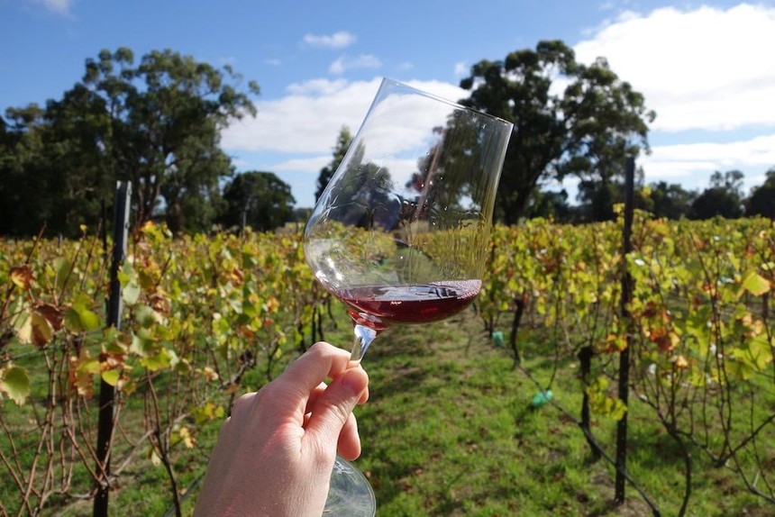 Phản ứng của Australia trước việc Trung Quốc áp thuế chống bán phá giá rượu vang nhập khẩu