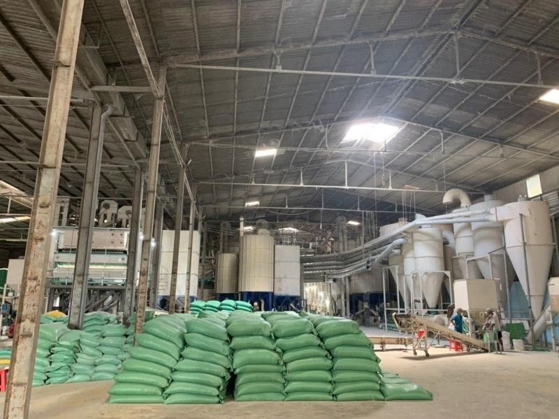 Nhà máy sản xuất lúa gạo của Louis Agro (Nguồn: Louis Agro).